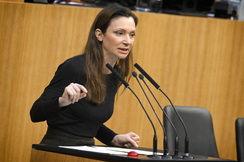 FPÖ-Geschäftsordnungssprecherin Susanne Fürst im Nationalrat