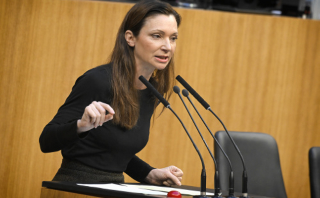 FPÖ-Verfassungssprecherin Susanne Fürst im Hohen Haus.