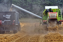 Die EU-Kommission will uns mit "Grüner Gentechnik" beglücken und unsere Bauern am Altar der Agrarindustrie opfern.