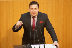 FPÖ-Abgeordneter Christian Riess im Nationalrat.