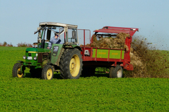 Die EU hat bereits auf die massiven Bauernproteste reagiert, die ÖVP in Österreich bleibt weiter tatenlos und lässt die Agrar-Produktion senken, statt sie zu stärken.