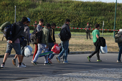 Die ständigen Dänemark-Reisen unserer Regierungsmitglieder halten keinen einzigen illegalen Migranten davon ab, nach Österreich zu kommen.