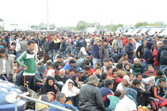 Jede Woche kommen rund 1.000 illegale Migranten über die Grenze nach Österreich und dürfen nicht zurückgewiesen werden.