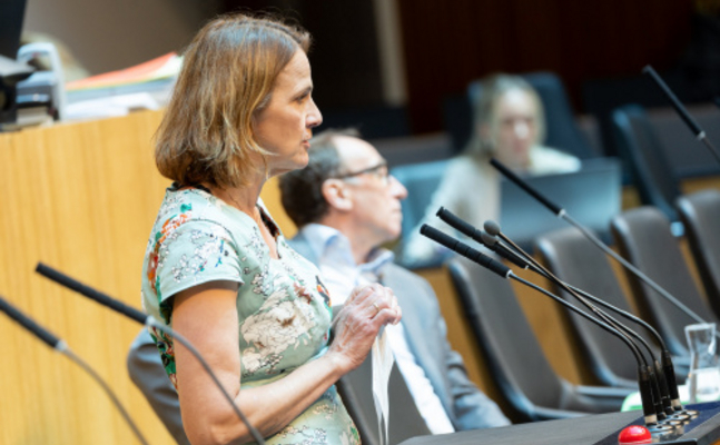 FPÖ-Sozialsprecherin Dagmar Belakowitsch im Nationalrat.