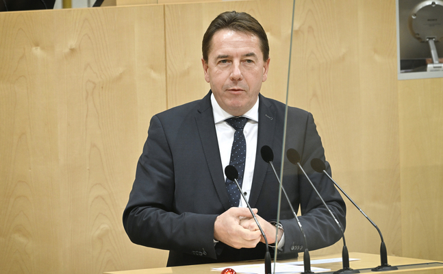 FPÖ-Wirtschaftssprecher Erwin Angerer im Hohen Haus.