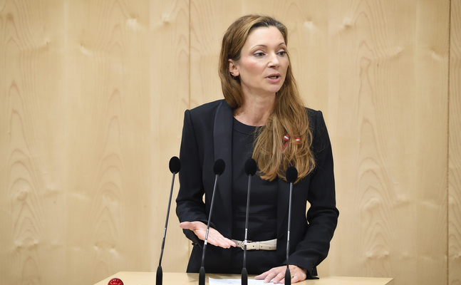 FPÖ-Menschenrechtssprecherin Susanne Früst im Nationalrat.