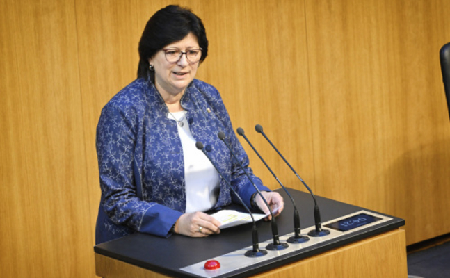 FPÖ-Familiensprecherin Rosa Ecker im Nationalrat.
