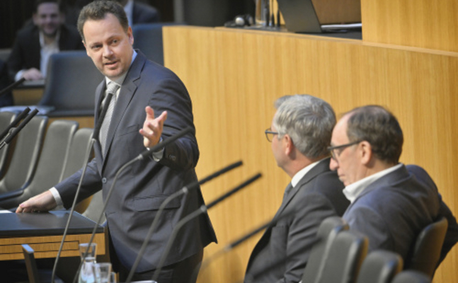 FPÖ-Gesundheitssprecher Gerhard Kaniak im Nationalrat.