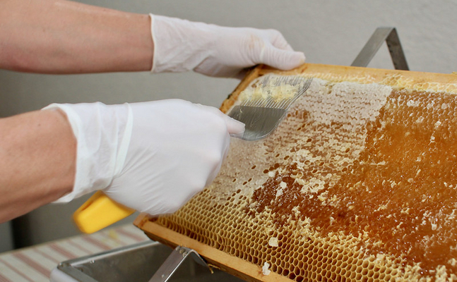FPÖ-fordert: Herkunftskennzeichnung bei Honig muss verbessert werden.