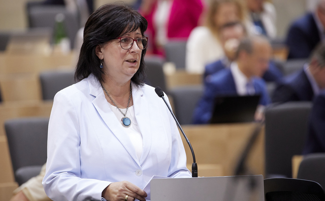 FPÖ-Nationalratsabgeordnete Rosa Ecker im Parlament.