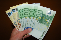 FPÖ fordert verfassungsmäßige Verankerung der Bargeldzahlung.