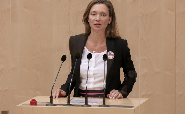 FPÖ-Verfassungssprecherin Susanne Fürst im Parlament.