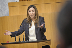 FPÖ-Europasprecherin Petra Steger im Parlament.