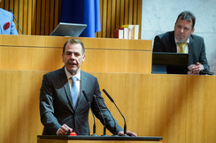 FPÖ-EU-Delegationsleiter Harald Vilimsky im Nationalrat.